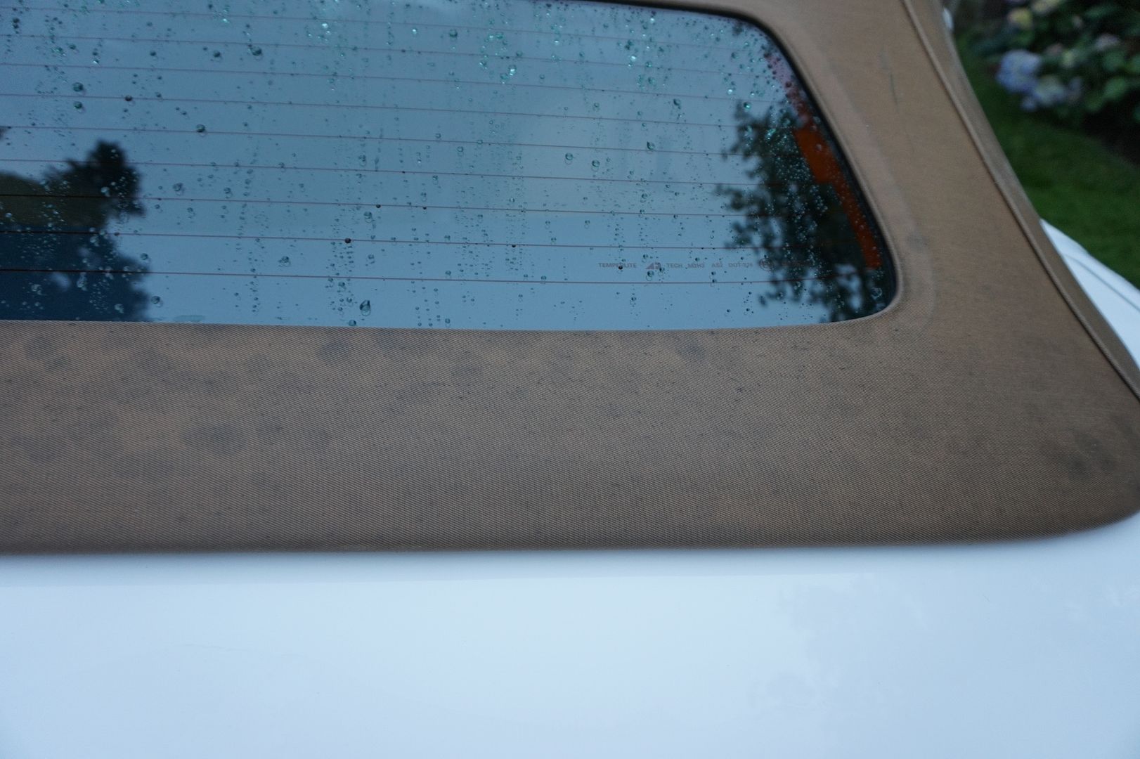 Mold/Mildew stained Tan convertible top wont clean up Help Page 6
